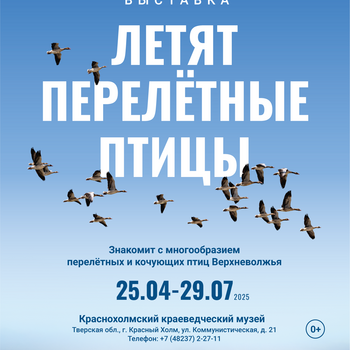 Выставка «Летят перелетные птицы»