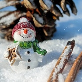 Новогодний праздник для школьников «Веселые истории Снеговика и Снежной бабы»