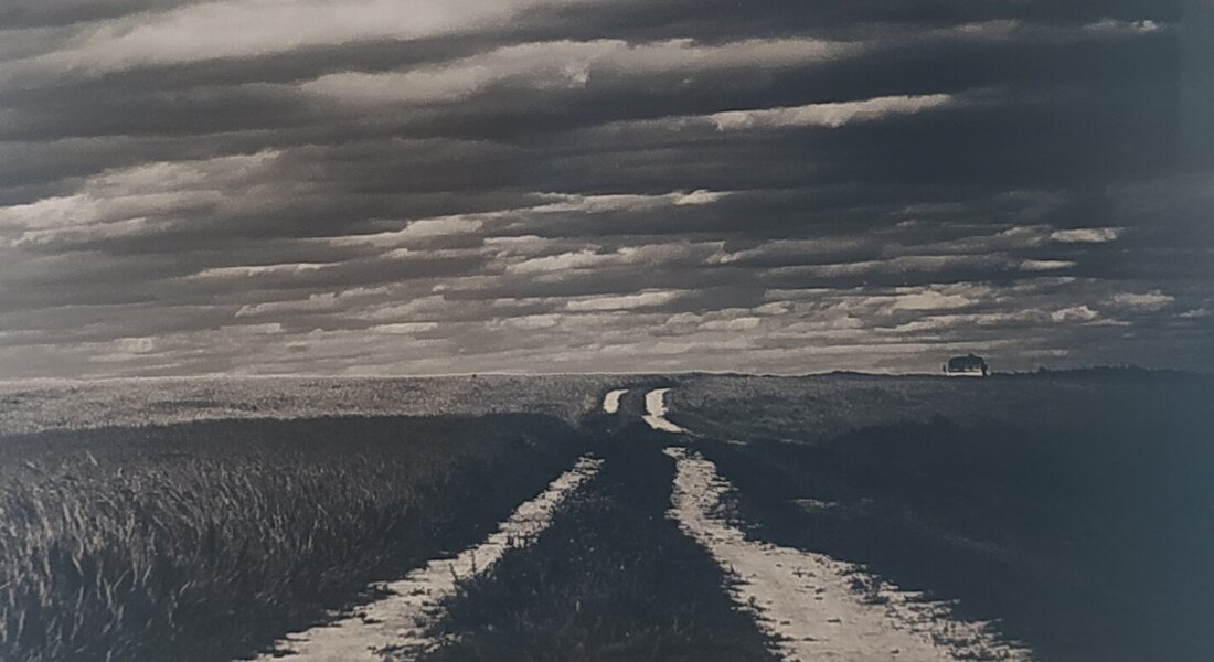 Фотовыставка «Взгляды» Фотовыставка «Взгляды»