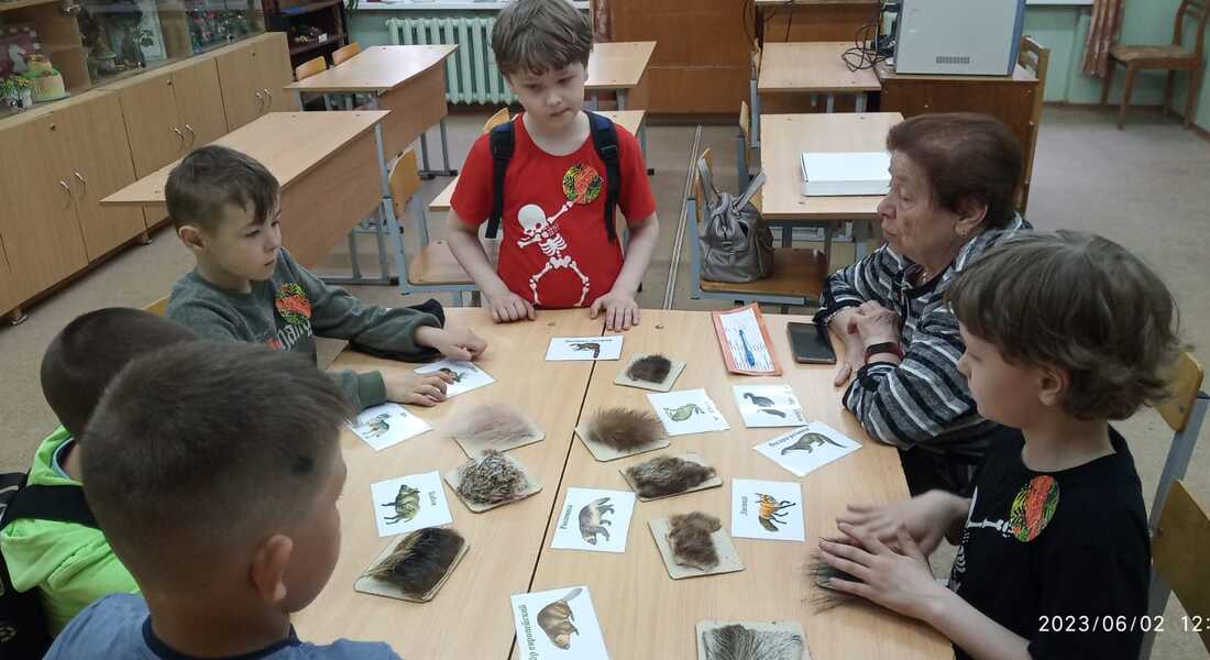 Сотрудники отдела природы Тверского государственного объединённого музея провели экологические квесты Сотрудники отдела природы Тверского государственного объединённого музея провели экологические квесты