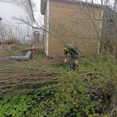 Территорию Осташковского краеведческого музея помогли привести в порядок юнармейцы и будущие вожатые