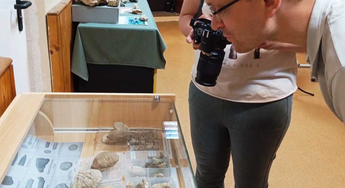 «Добро пожаловать в мир палеозоя!» «Добро пожаловать в мир палеозоя!»