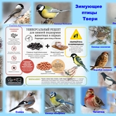 12 ноября - Синичкин день