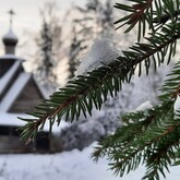 Зимние прогулки в «Василёво»