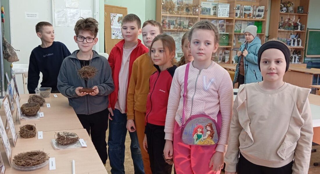 Занятия для юных натуралистов Занятия для юных натуралистов