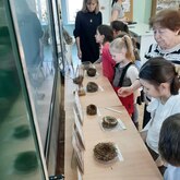 Занятия для юных натуралистов
