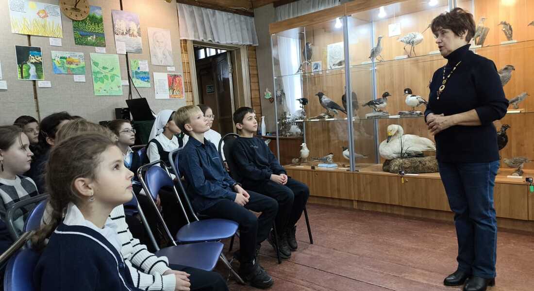 Пернатые соседи