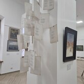 В Тверском краеведческом музее открылась выставка «Пока светло»