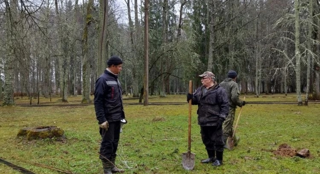 Сорок пять молодых лип Сорок пять молодых лип