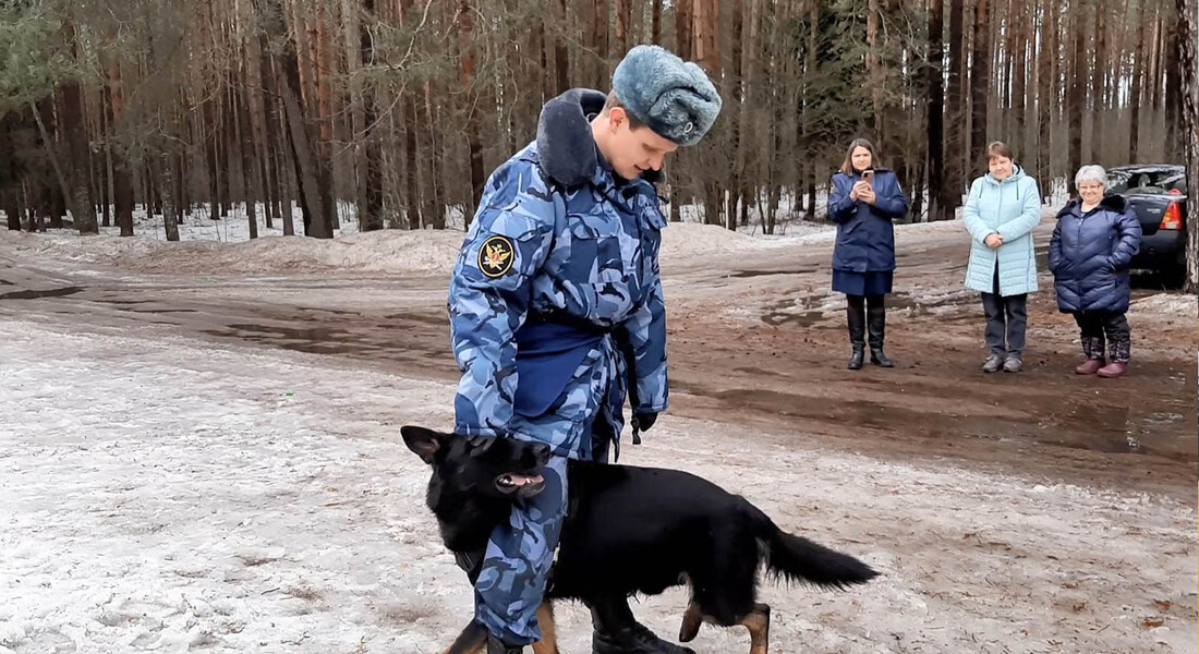 Мероприятие «Собачья работа»