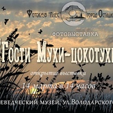 Фотовыставка «Гости мухи Цокотухи» Фотовыставка «Гости мухи Цокотухи»