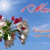 С праздником Весны, Мира и Труда! С праздником Весны, Мира и Труда!
